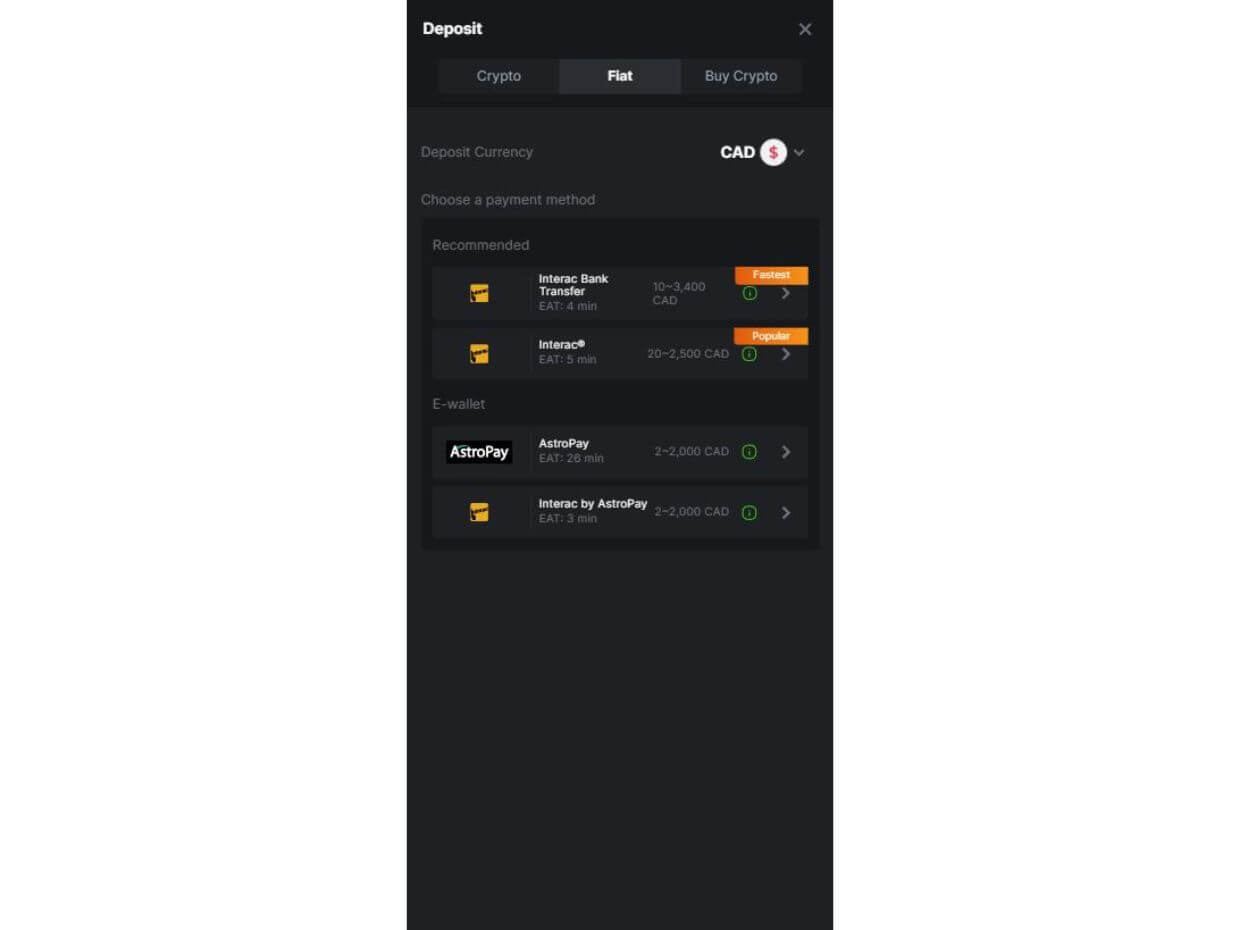 Mobile Deposit BC.Game